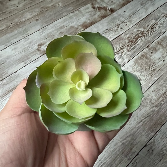 โ๐ผ๐ World Market Faux Succulent Mini Plants - Picture 10 of 14